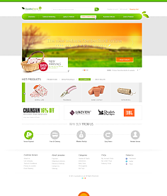 網(wǎng)頁與網(wǎng)站設(shè)計(jì) 構(gòu)建數(shù)字世界的藝術(shù)與科學(xué)